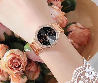 💱 SCOTTIE DE DAMA 😍