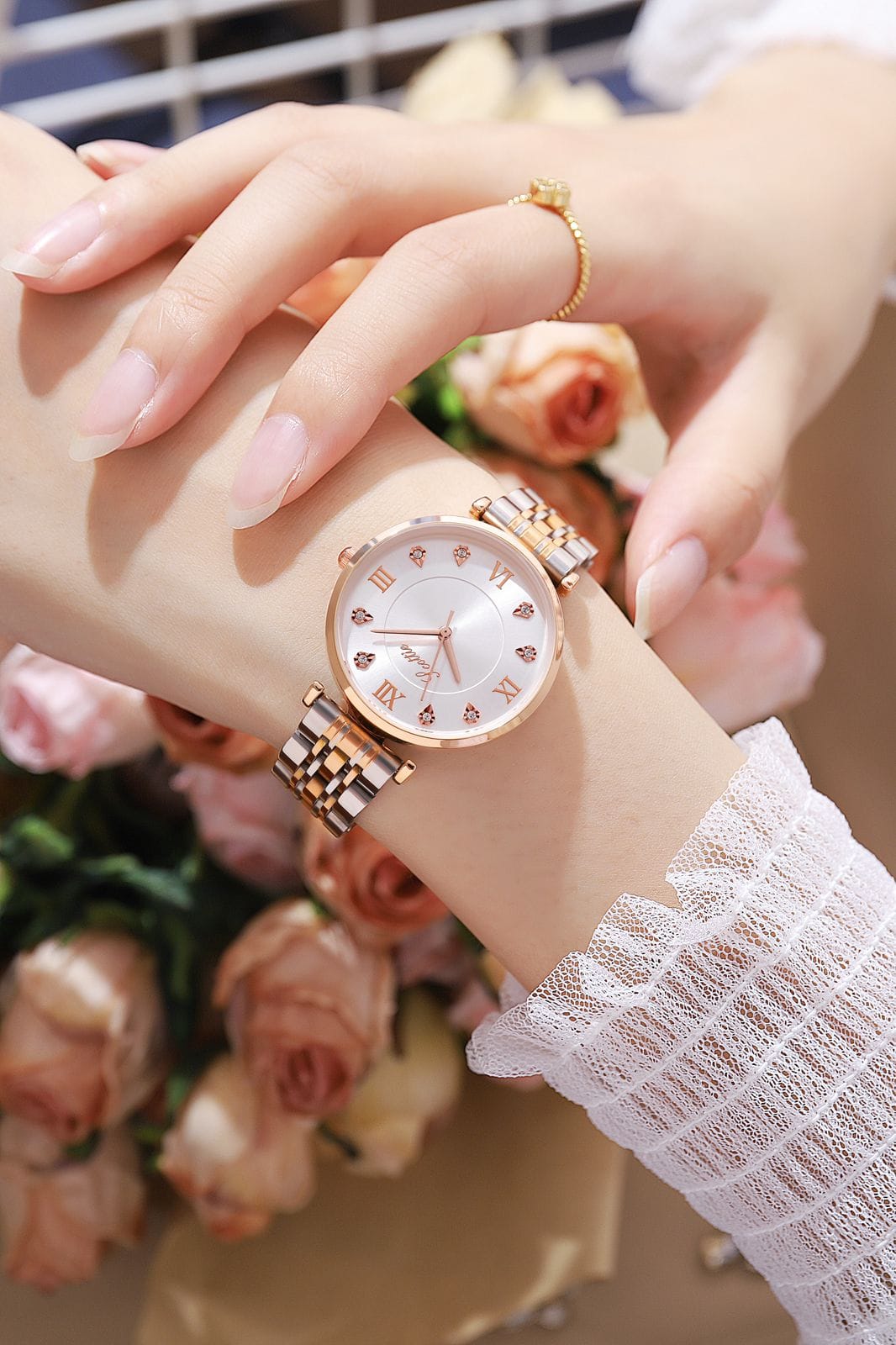 💱 SCOTTIE DE DAMA 😍