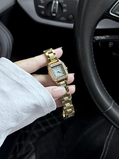 💱 SCOTTIE DE DAMA 😍